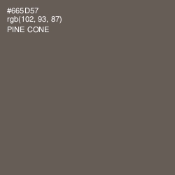 #665D57 - Pine Cone Color Image